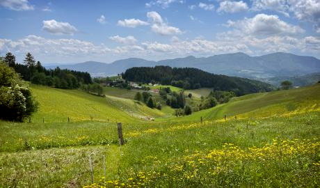 Wandern und/ oder Wellness in Slowenien
